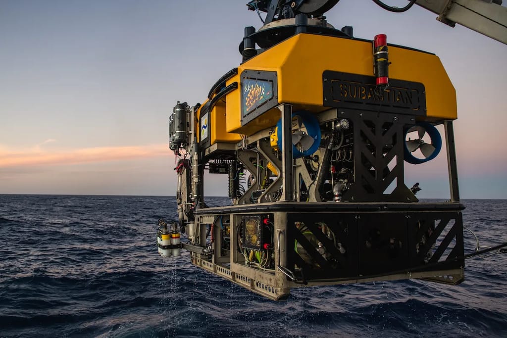 ROV in the ocean