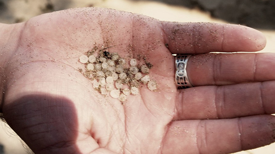 nurdles_sustainable-coastlines.png
