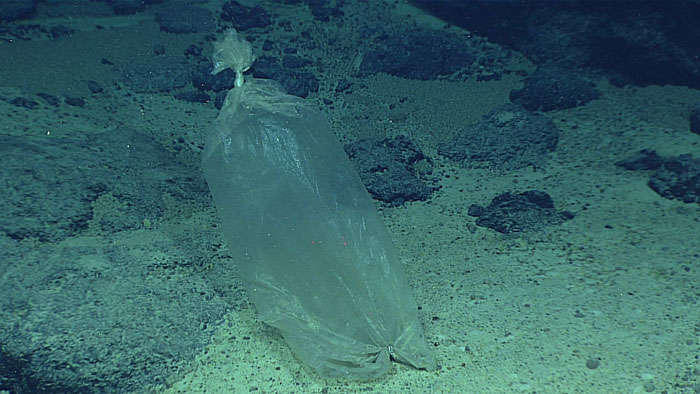 content-1525961300-1605plasticbag-700