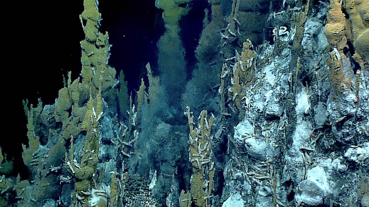 2016 Deepwater Exploration of the Marianas