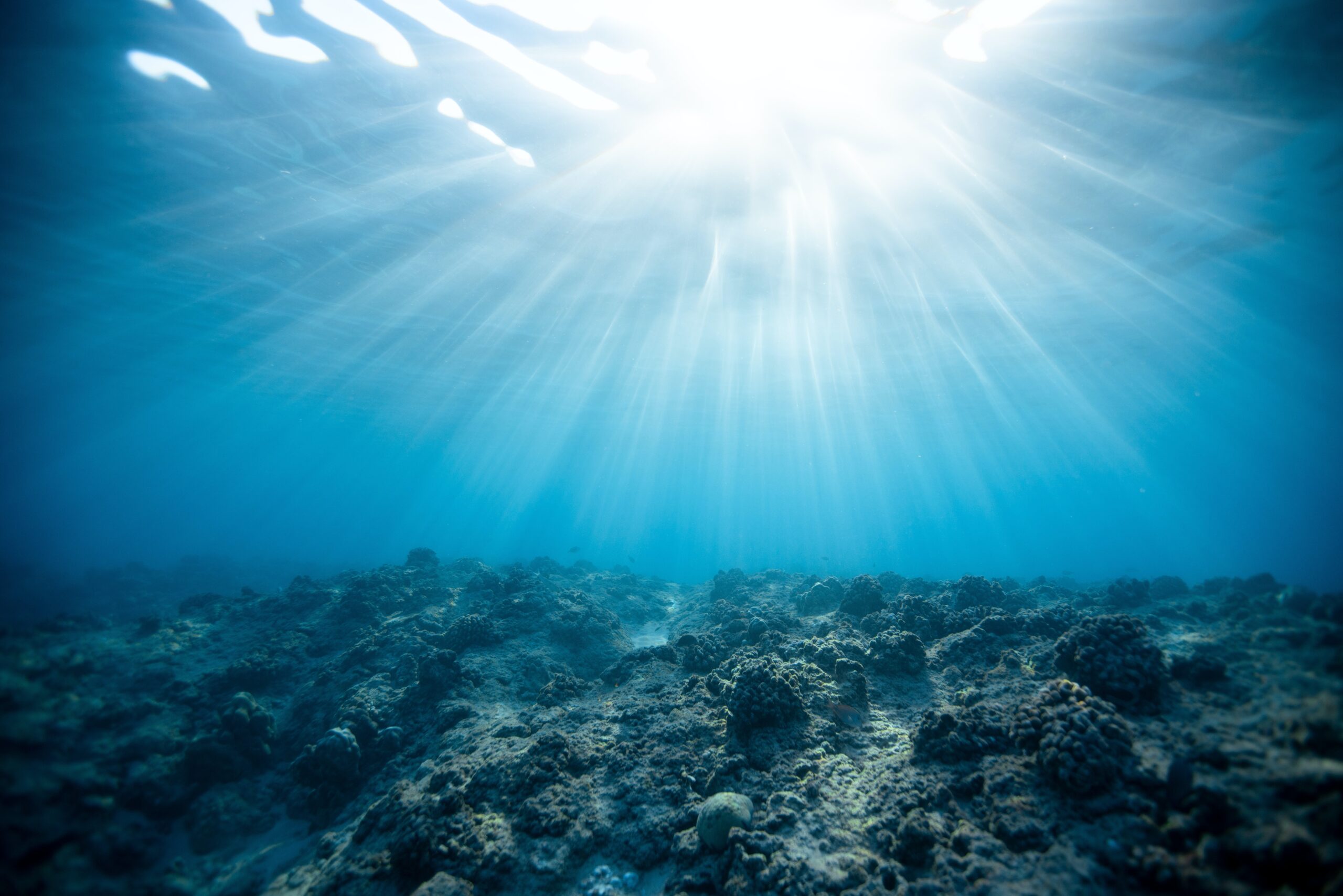 Sun rays shine through the oceans surface
