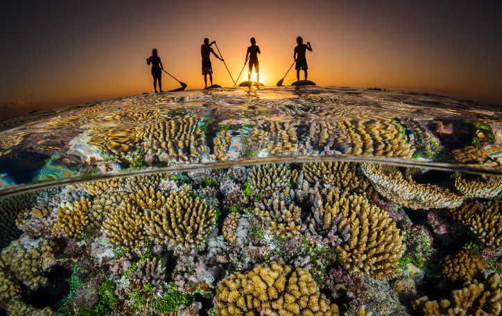 Grant Thomas Sunset Tonga