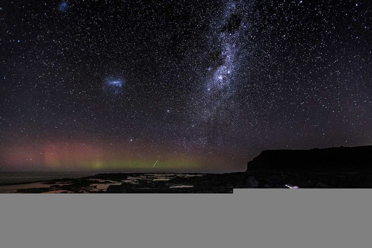 penguin stands on rock at night with stars