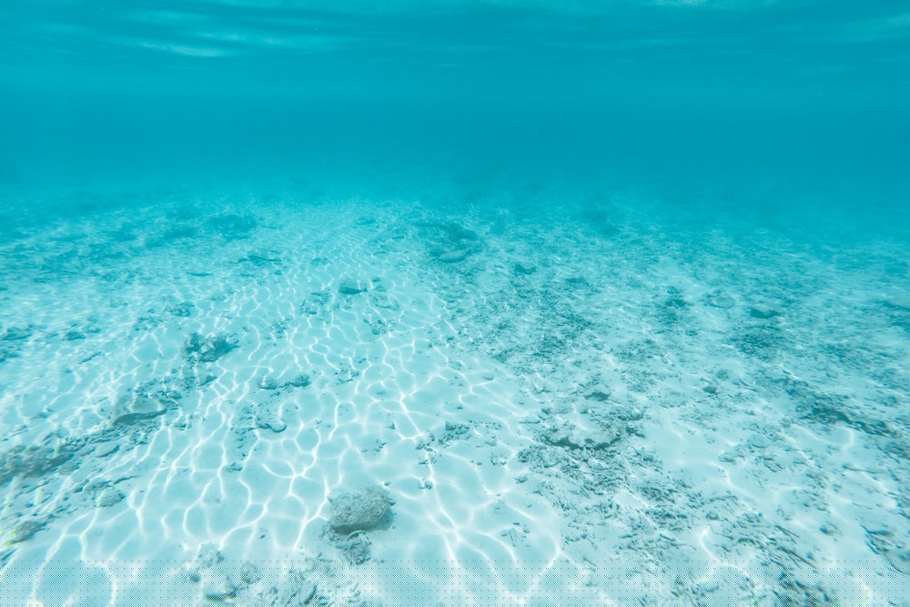 Underwater ocean view