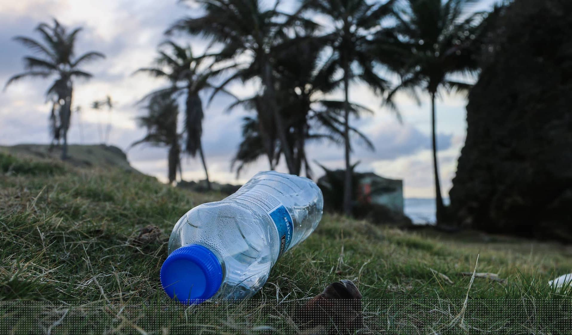 Plastic Free Cities water bottle on grass