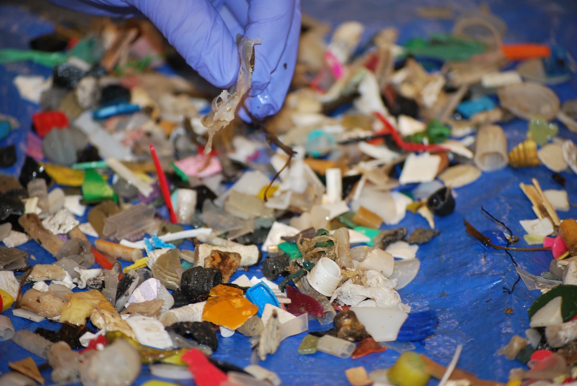 Plastic Fragments