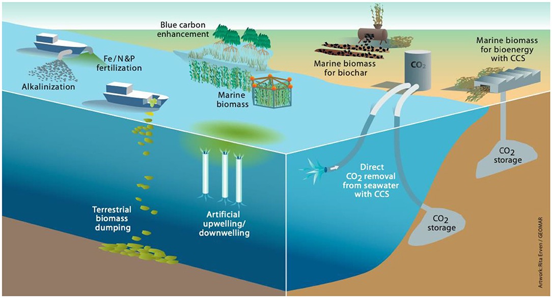 Carbon dioxide removal