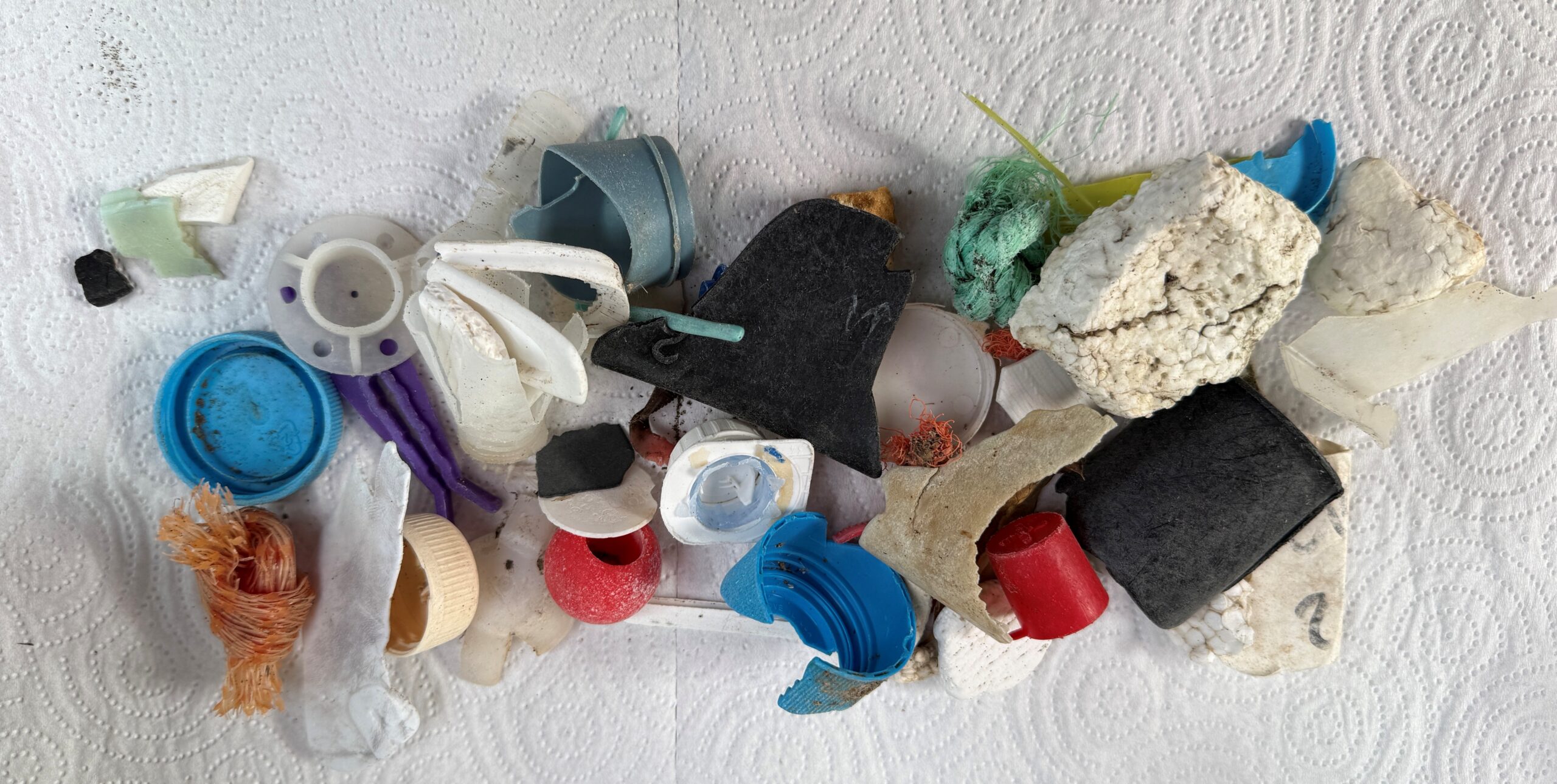Bits of macroplastic from eXXpedition