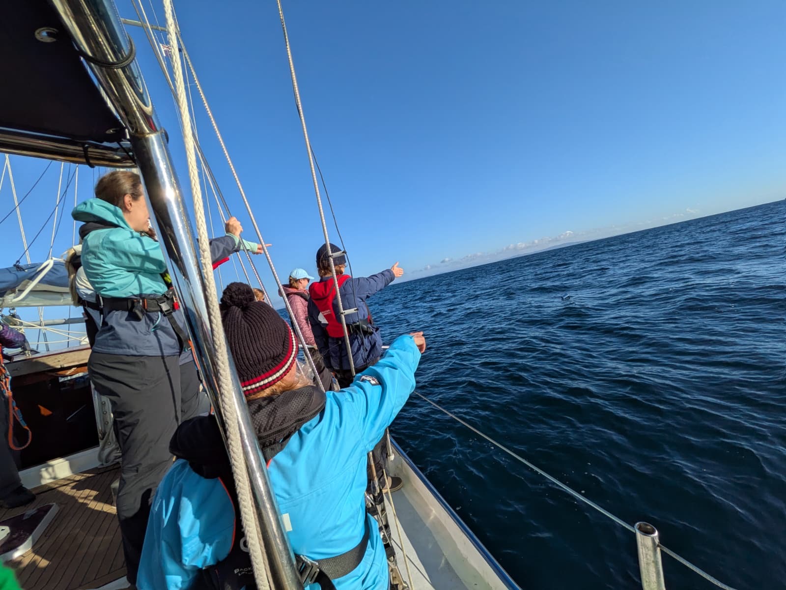 Crew aboard the eXXpedition voyage look out to sea